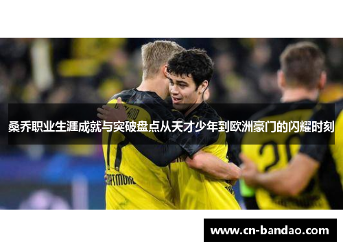 桑乔职业生涯成就与突破盘点从天才少年到欧洲豪门的闪耀时刻