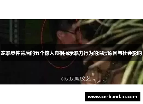 家暴案件背后的五个惊人真相揭示暴力行为的深层原因与社会影响 家暴案件背后的五个惊人真相揭示暴力行为的深层原因与社会影响