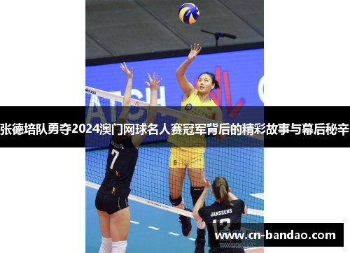 张德培队勇夺2024澳门网球名人赛冠军背后的精彩故事与幕后秘辛