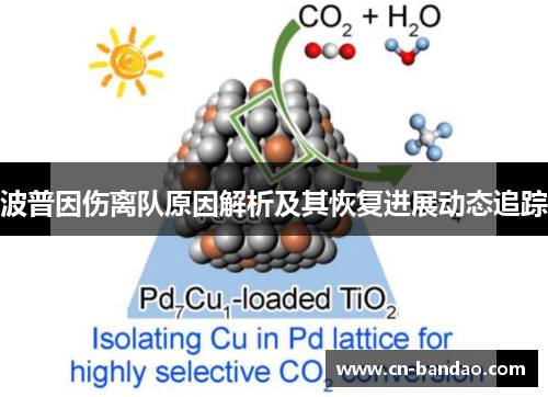 波普因伤离队原因解析及其恢复进展动态追踪