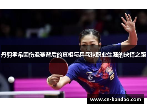 丹羽孝希因伤退赛背后的真相与乒乓球职业生涯的抉择之路 丹羽孝希因伤退赛背后的真相与乒乓球职业生涯的抉择之路