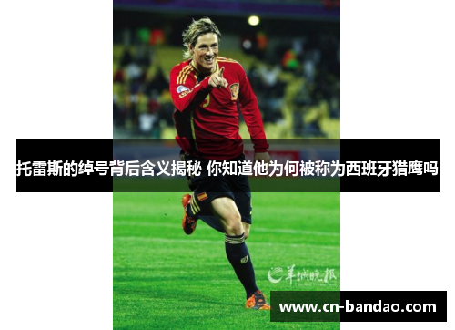 托雷斯的绰号背后含义揭秘 你知道他为何被称为西班牙猎鹰吗 托雷斯的绰号背后含义揭秘 你知道他为何被称为西班牙猎鹰吗